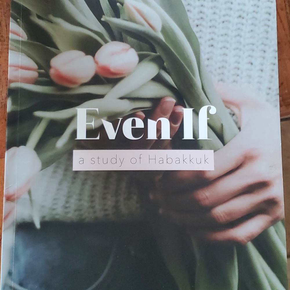 The Daily Grace Bible Study